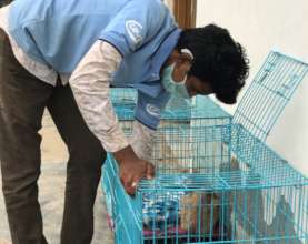 Staff tend to TOLFA's patients under lockdown