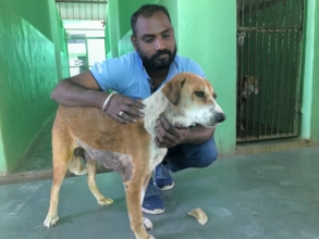 Ella after her life-saving operation