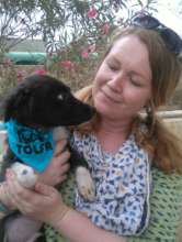 Clara with Fidget the recovered hepatitis puppy
