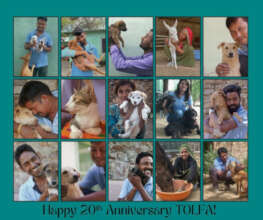 Happy 20th Anniversary TOLFA