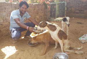 Jacky feeding disabled dogs