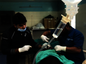 Our Vets operating on a dog with a leg tumour