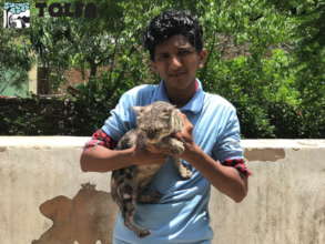 Mannu AFTER nearly transformed by treatment & love