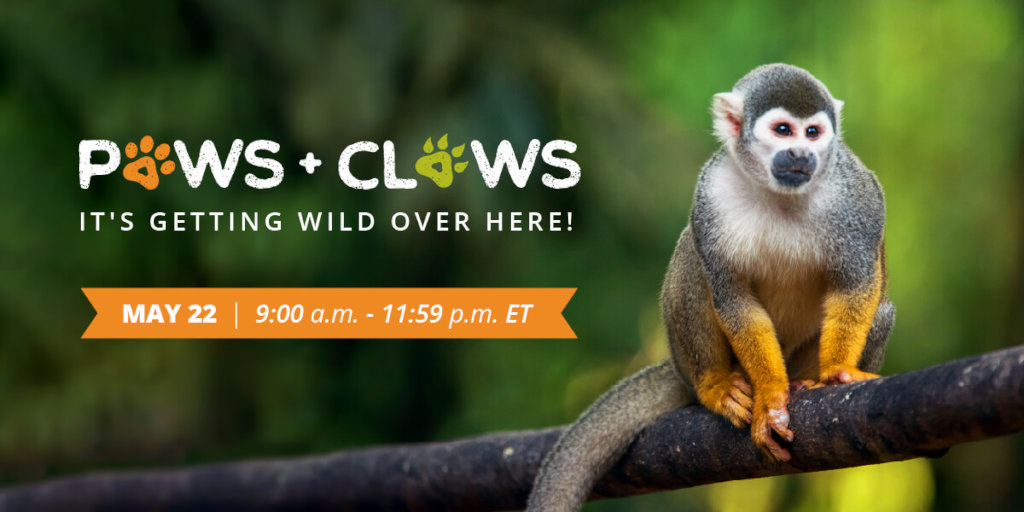 Get ready for Paws & Claws day on Global Giving