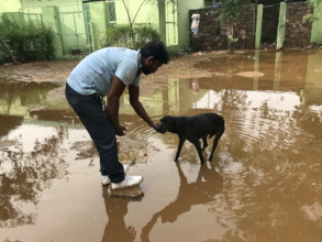 Getting very wet and muddy after the heavy rains