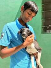 Our wonderful staff member Shubh caring for Pepsi