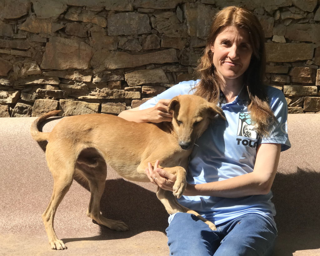 TOLFA's Rachel Wright - Vet Nurse of the Year!