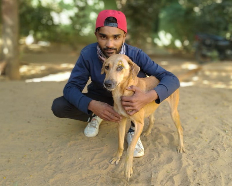 Stella's terrible maggot wound healed in 6 weeks