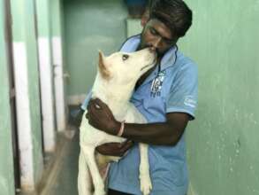 Female dog much happier after we rescued her