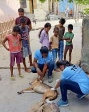 Our street treatment team in action with onlookers