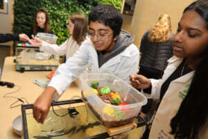 Water filtration learning at g4g Day Pittsburgh