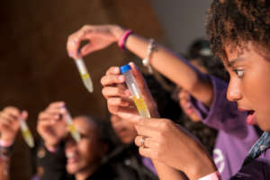 DNA extraction underway in Sao Paulo, Brazil