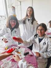 Creating polymer worms in Lisbon