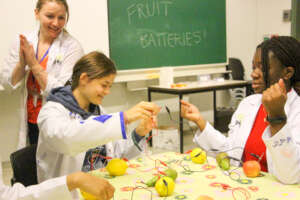 Lighting up fruit batteries in Leuven, Belgium