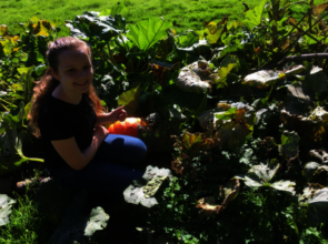 Inspired by g4g, student continues a school garden