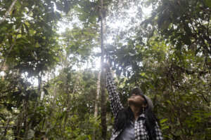 Pitit doing a research about Awajun agroforestry