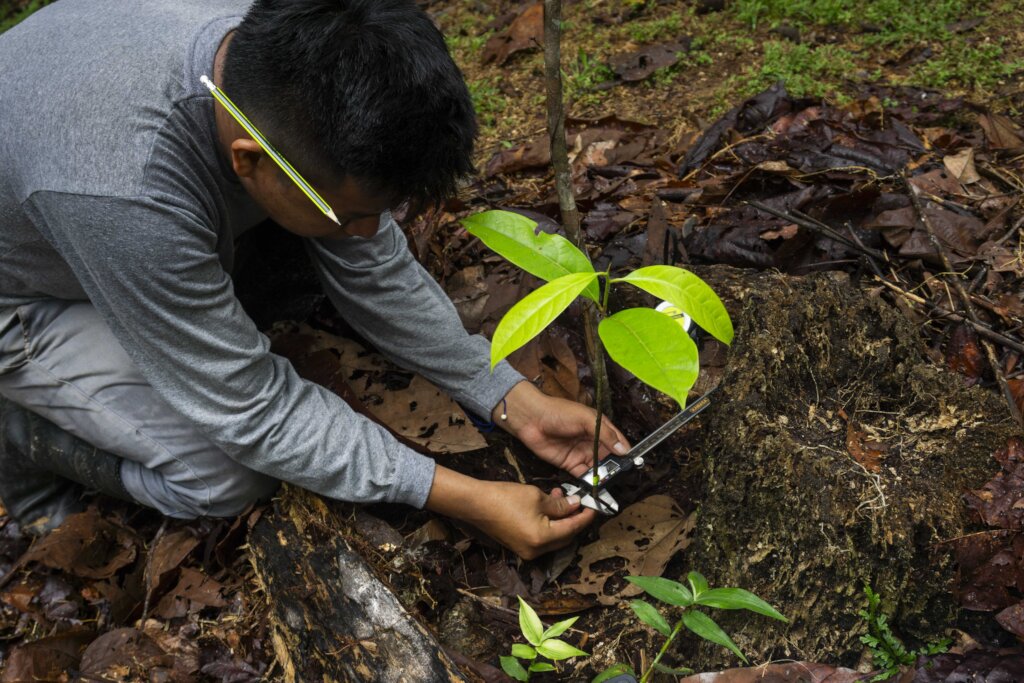 Internship at our Permaculture Center