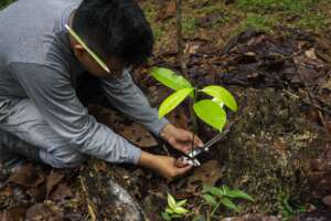 Internship at our Permaculture Center