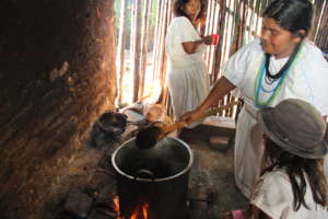 Other traditional midwives tasks