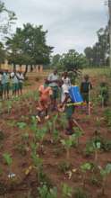 School Gardening Project