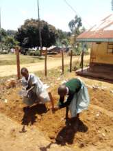Preparations - nursery beds for container gardens