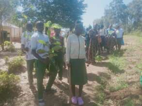 Tree Planting 2