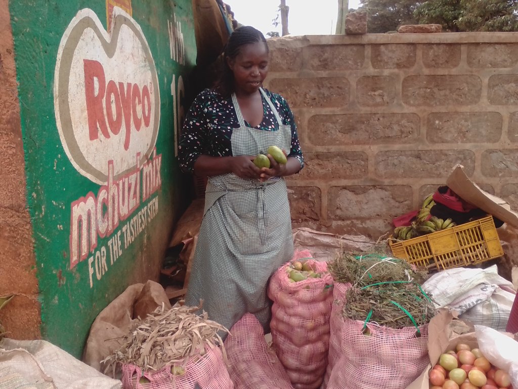 Family Economic Empowerment in the Kenyan Slums