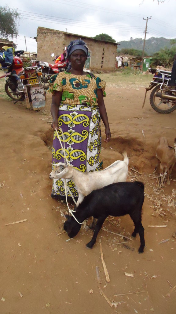 Family Economic Empowerment in the Kenyan Slums