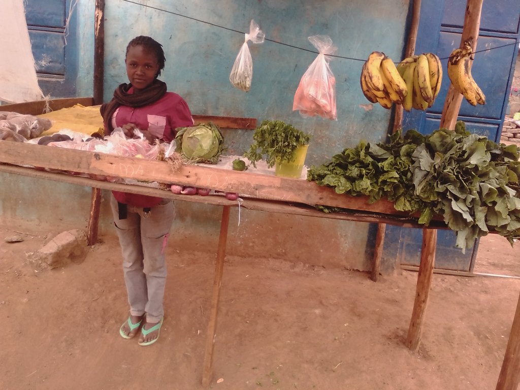 Family Economic Empowerment in the Kenyan Slums