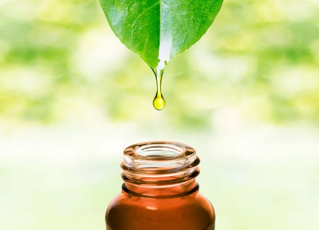 Moringa for the Nutritional Health of 1000Children