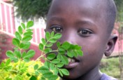 Moringa for the Nutritional Health of 1000Children