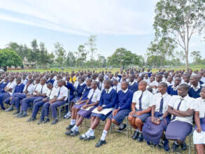 Mentorship session