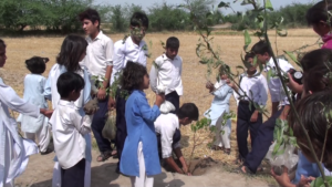 Planting the saplings in their villages