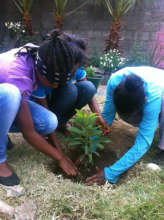 Planting a Tree for Earth Day