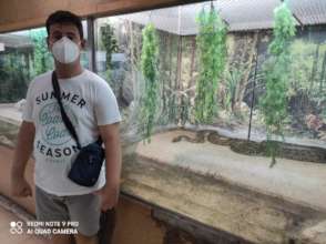 After Work Trip to The Zoo