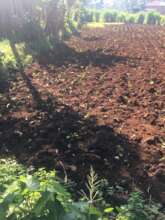 Economic empowerment for  virtues beneficiaries