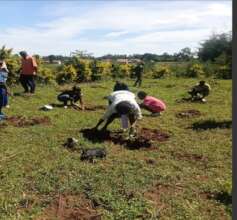 Tree Planting after training at Shikusa