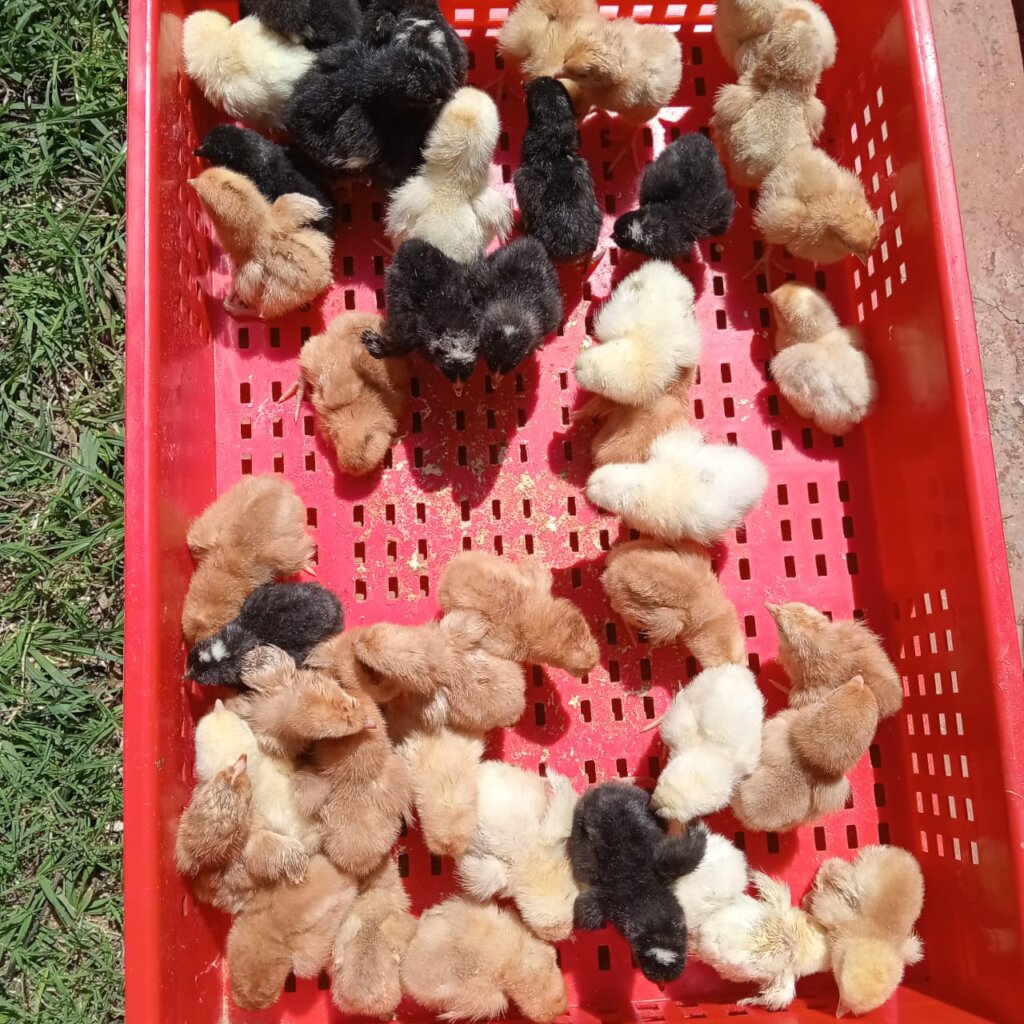 Community Transformation: Virtues Project in Kenya