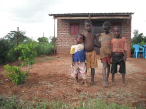 COVID-19 affected households