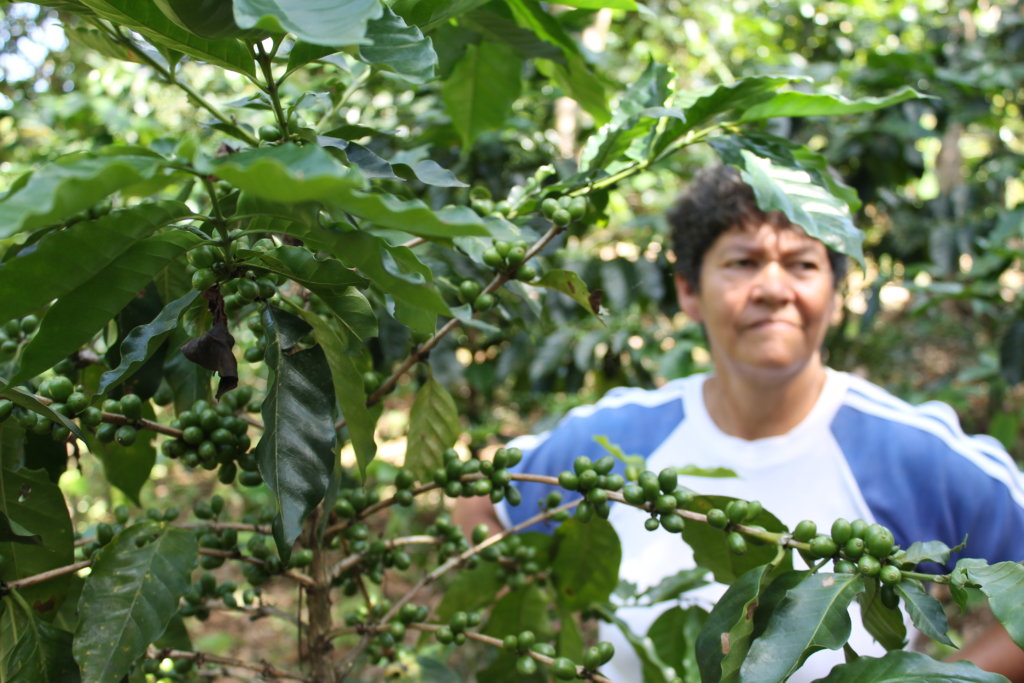 Internet and ICT for Coffee Growers in Colombia