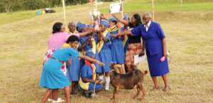 Kasiisi School Guides are the Winners