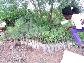 Planting Secret Gardens