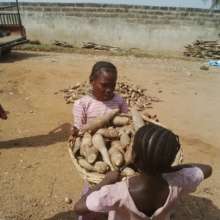 Child-laborers lifting a basket of Cassava