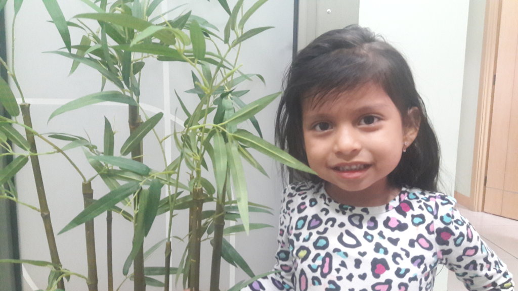 Restore  Mateos and Andreas hearing , Guatemala