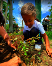 Planting on Earth's day