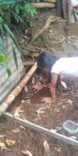 Gardening projects to learn at home