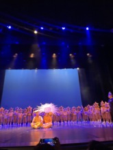 Circle of Life musical