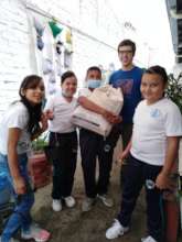 Environmental project: vertical gardens