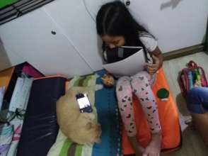 Pets are good companions for learning :)