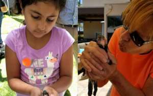 June Adoption Event